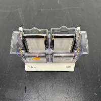 Invitrogen Mini Gel Tank image 2